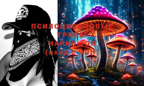 прущие грибы Белоозёрский