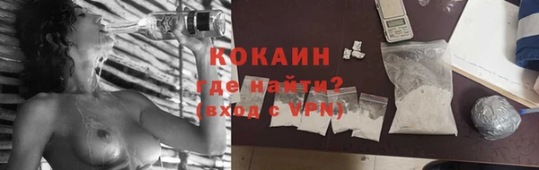 индика Белокуриха