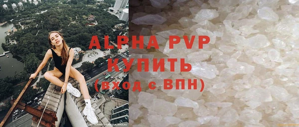 прущие грибы Белоозёрский