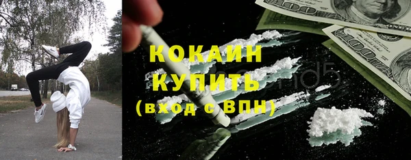 индика Белокуриха
